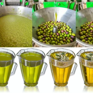 Hoe wordt olijfolie precies geproduceerd?