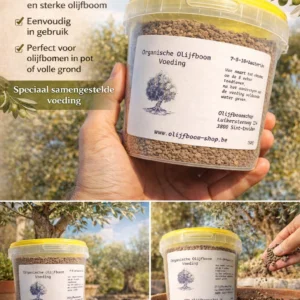Olijfboom-voeding natuurlijk